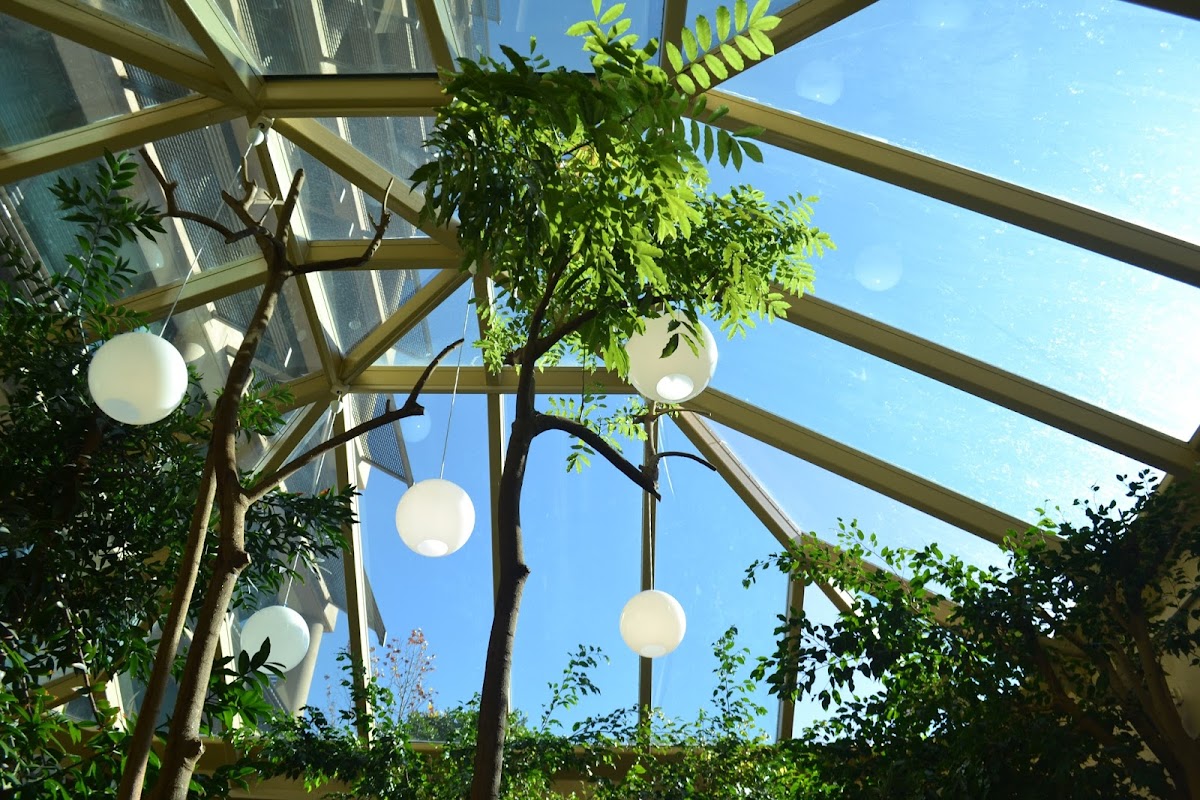 Psychedeli Canberra Photos 2